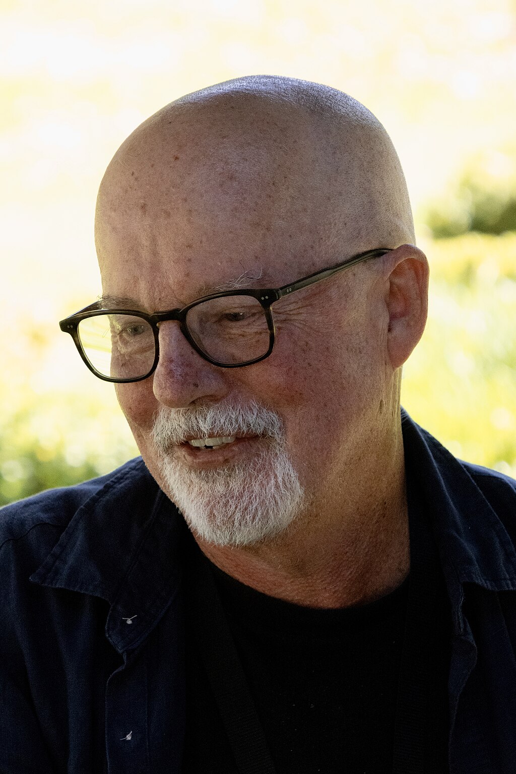Michael Robotham: Reihenfolge